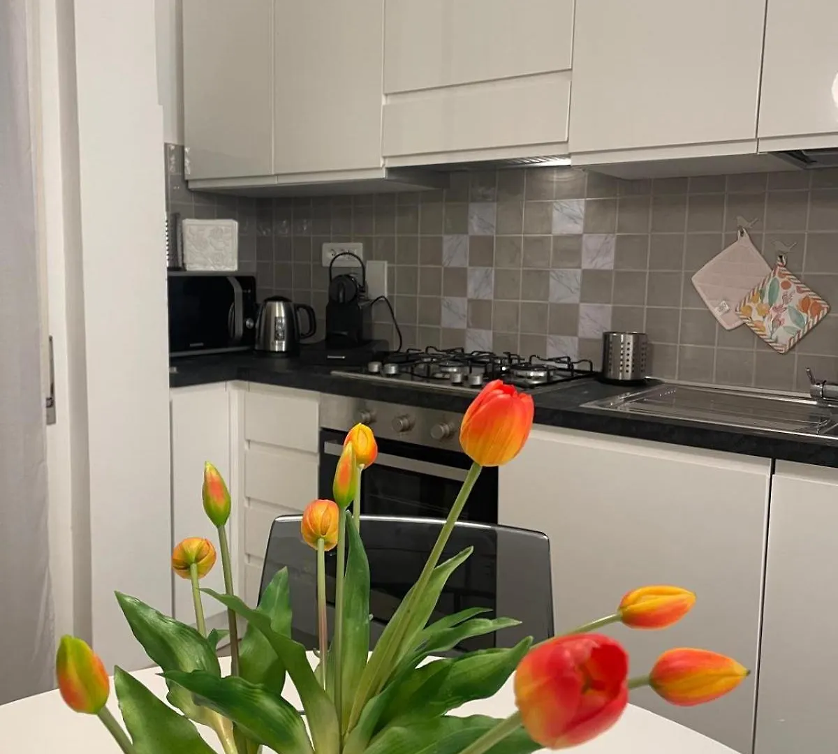 Dama Maria Elena Apartman Róma